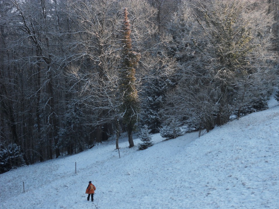 9. 1. 2017 - foto povečava