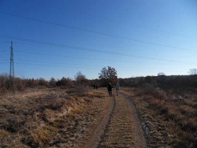 21. 1. 2017 - foto