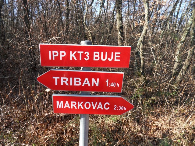 21. 1. 2017 - foto