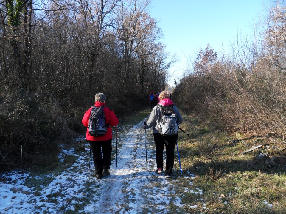 21. 1. 2017 - foto povečava