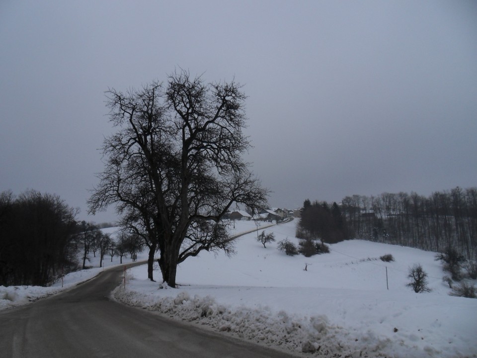 23. 1. 2017 - foto povečava