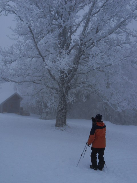 25. 1. 2017 - foto