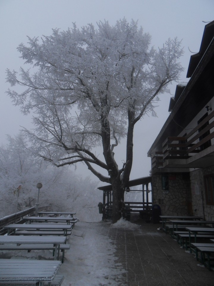 25. 1. 2017 - foto povečava