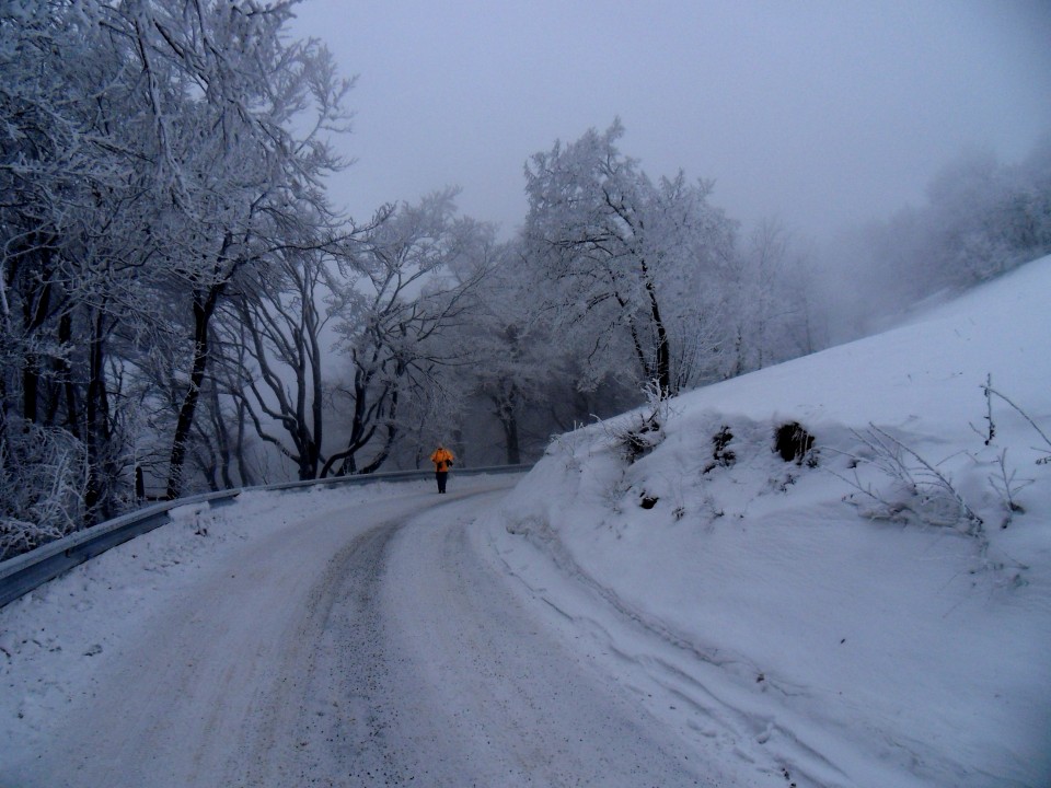 25. 1. 2017 - foto povečava