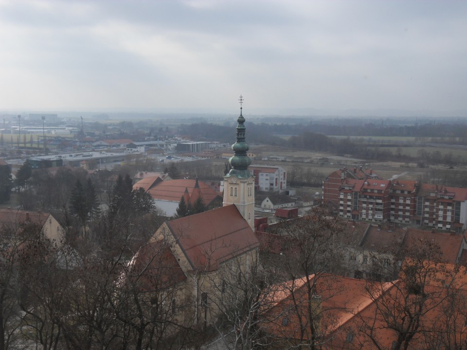 8. 2. 2017 - foto povečava