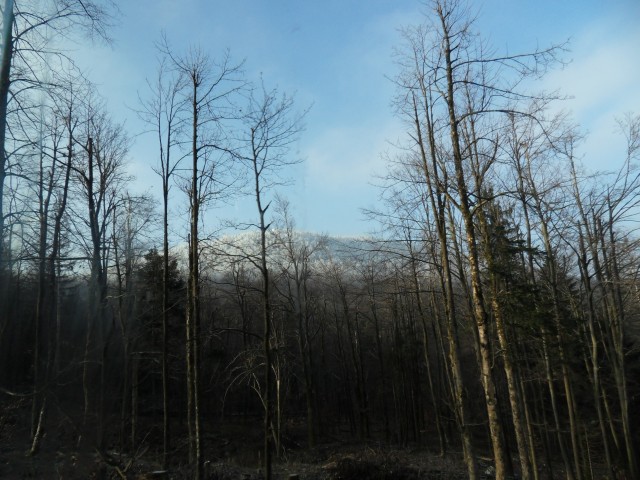 14. 2. 2017 - foto