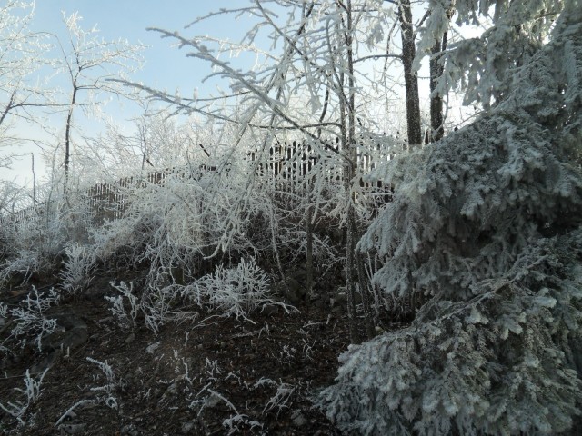 14. 2. 2017 - foto