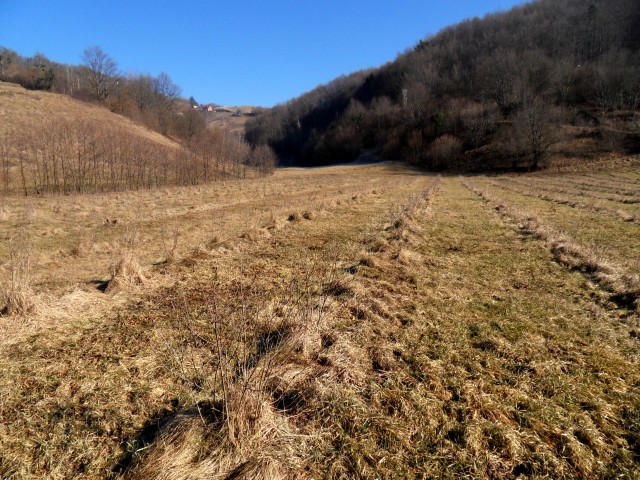 15. 2. 2017 - foto