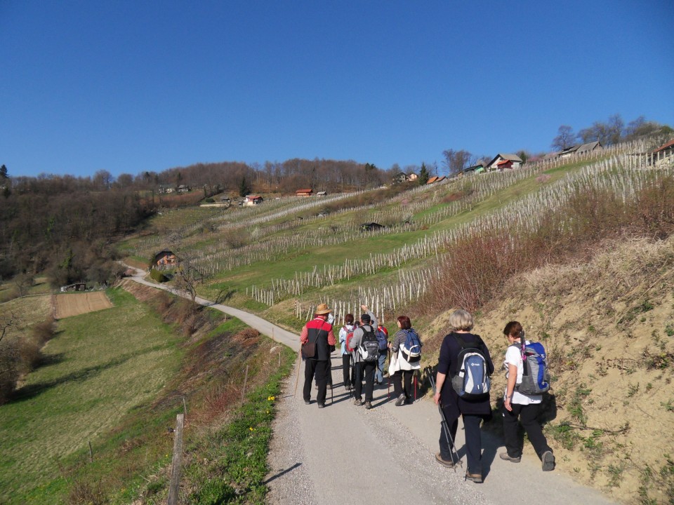 29. 3. 2017 - foto povečava