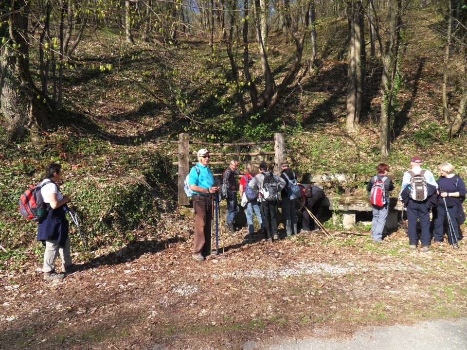 29. 3. 2017 - foto povečava