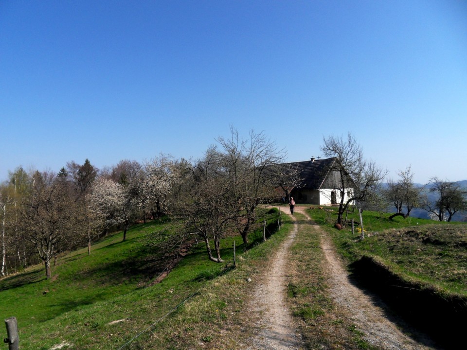 3. 4. 2017 - foto povečava