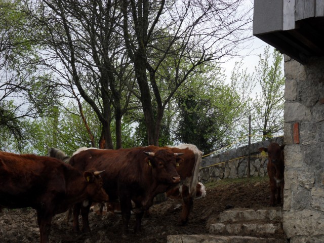 5. 4. 2017 - foto