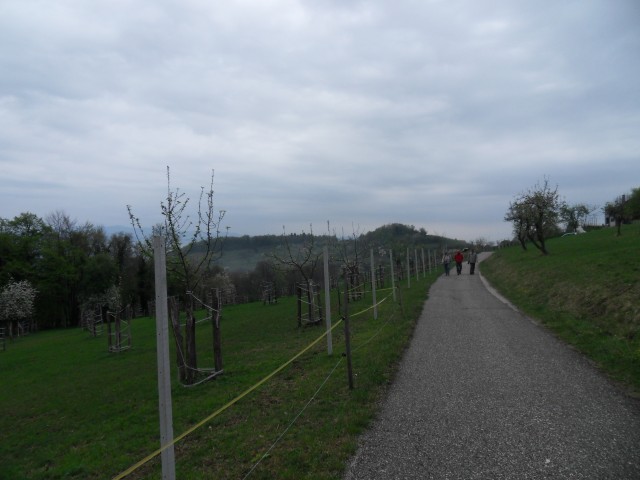 5. 4. 2017 - foto