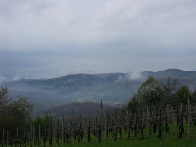 5. 4. 2017 - foto