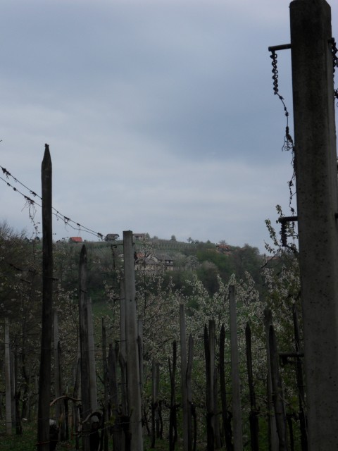 5. 4. 2017 - foto