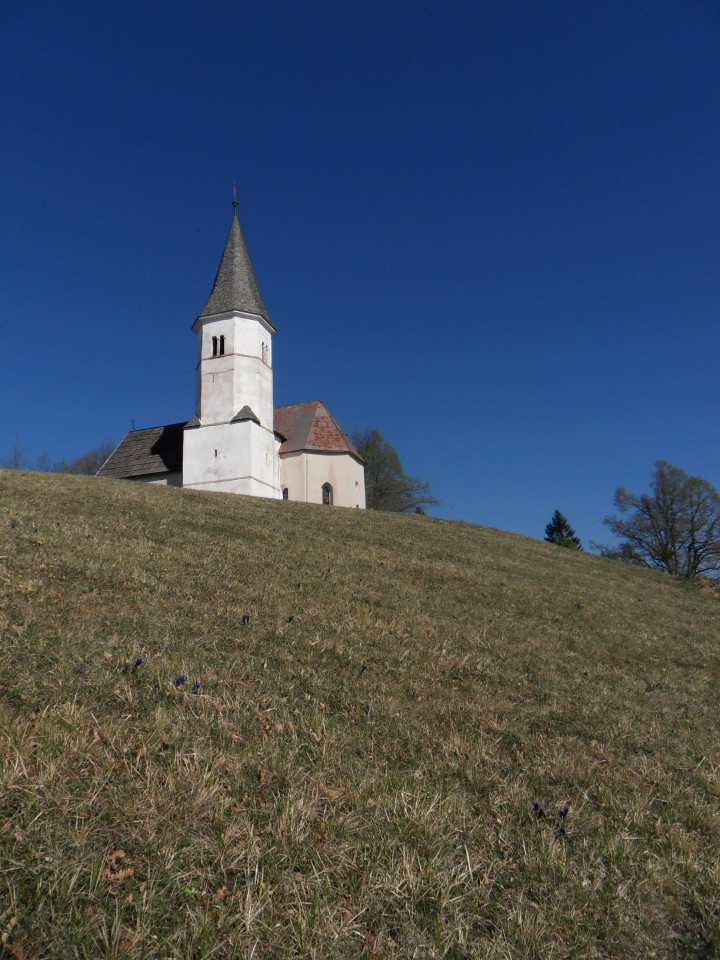 10. 4. 2017 - foto povečava