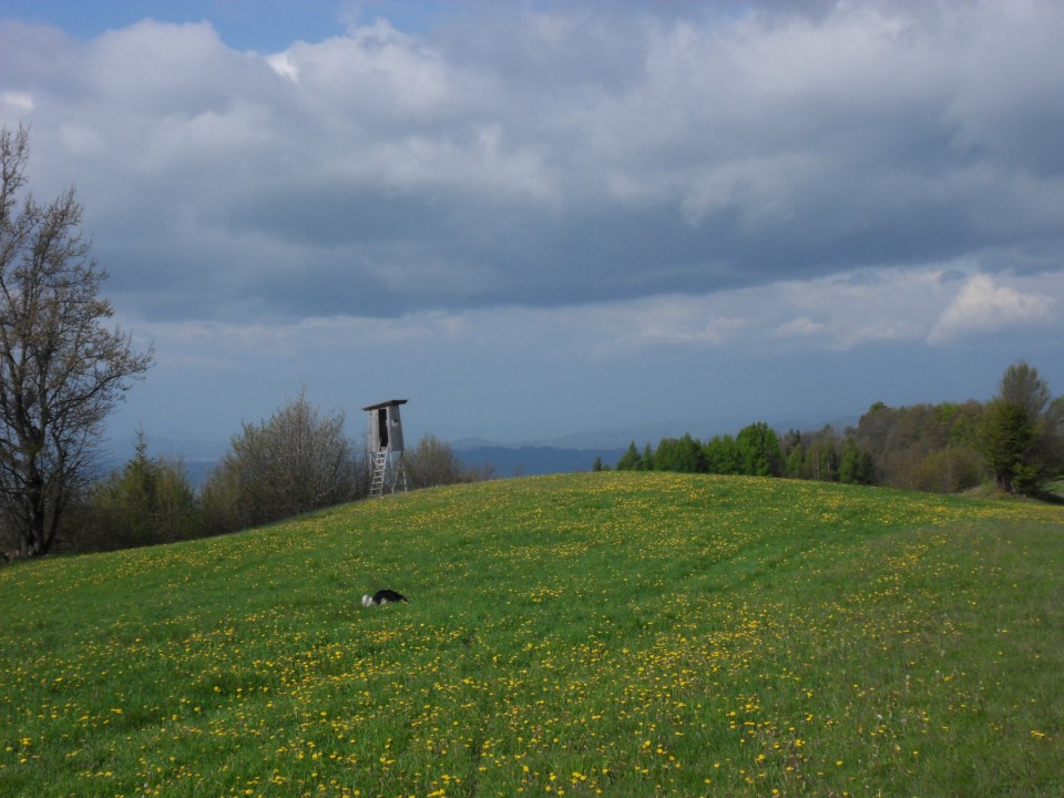 26. 4. 2017 - foto povečava