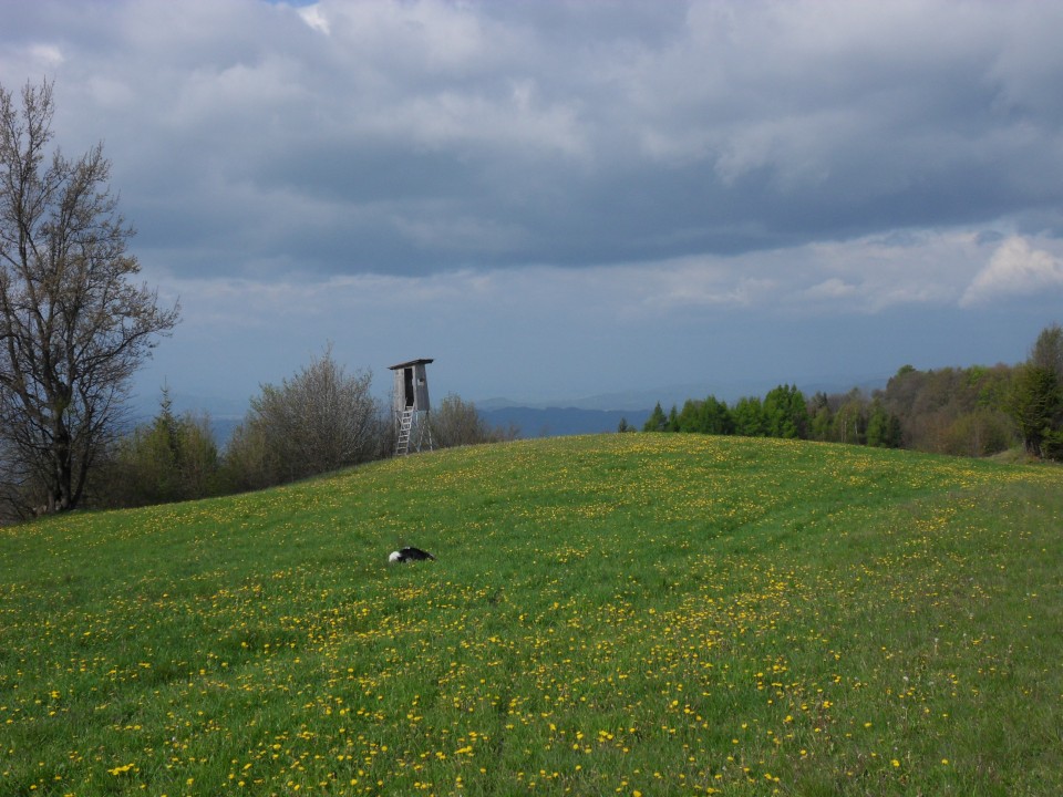 26. 4. 2017 - foto povečava