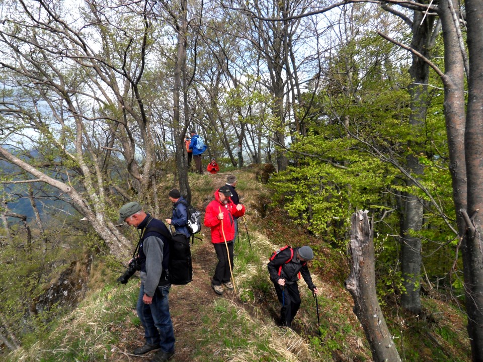 26. 4. 2017 - foto povečava