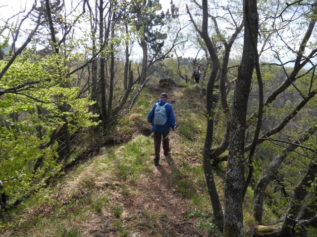 26. 4. 2017 - foto