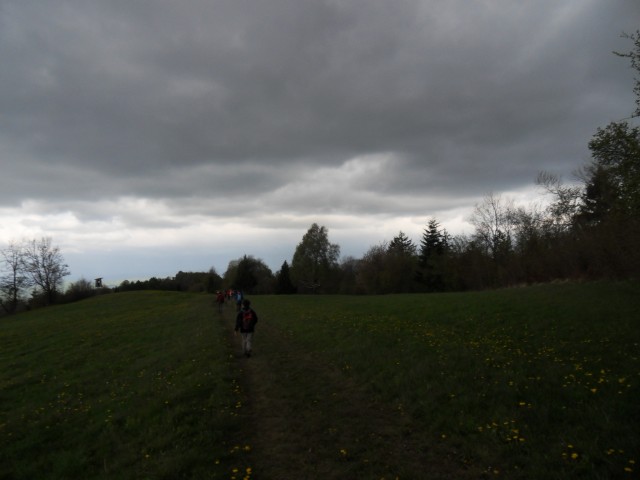 26. 4. 2017 - foto