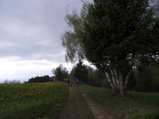 26. 4. 2017 - foto