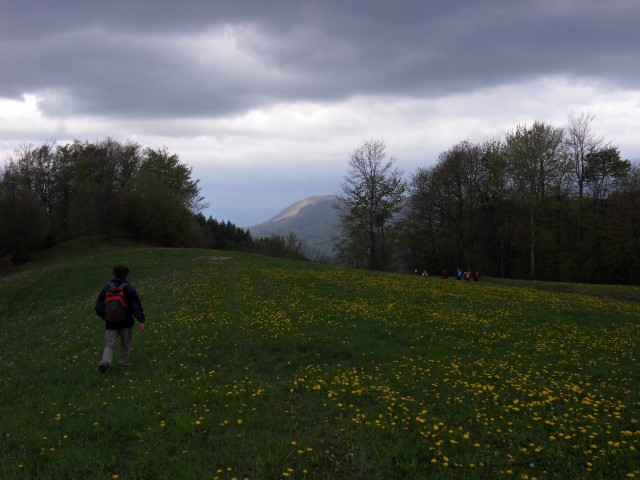 26. 4. 2017 - foto