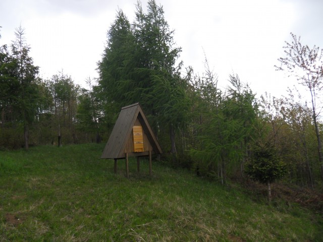 26. 4. 2017 - foto