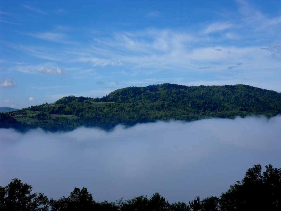 8. 5. 2017 - foto povečava