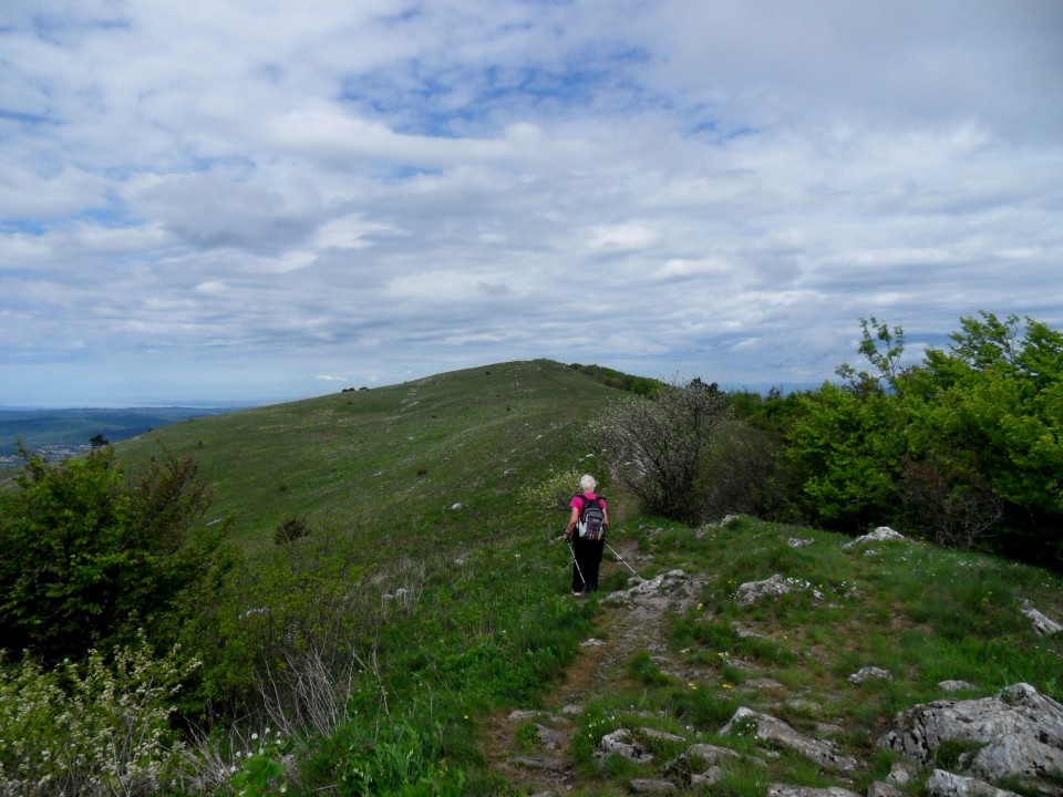 15. 5. 2017 - foto povečava