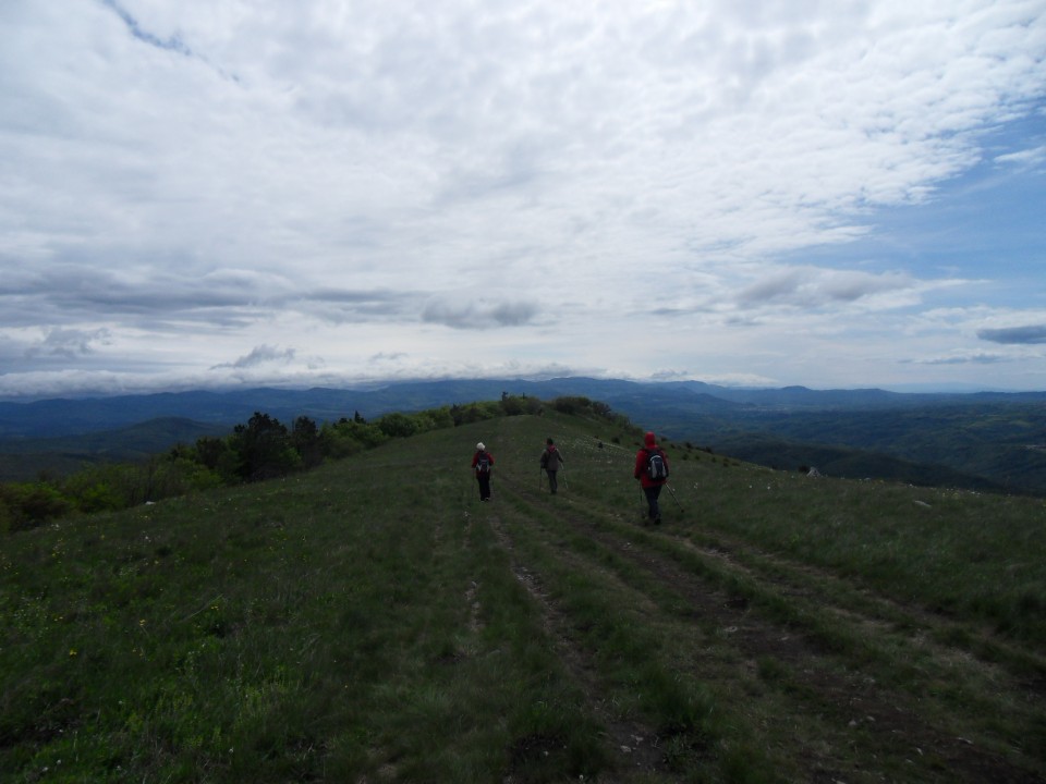 15. 5. 2017 - foto povečava