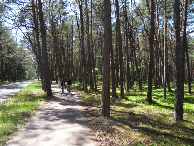 28. 5. 2017 - foto