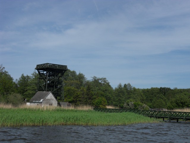 28. 5. 2017 - foto