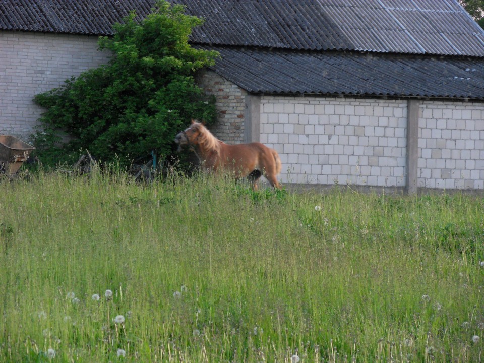 30. 5. 2017 - foto povečava