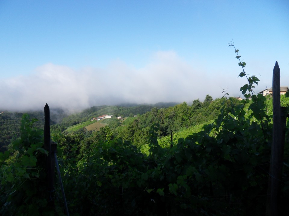 26. 6. 2017 - foto povečava