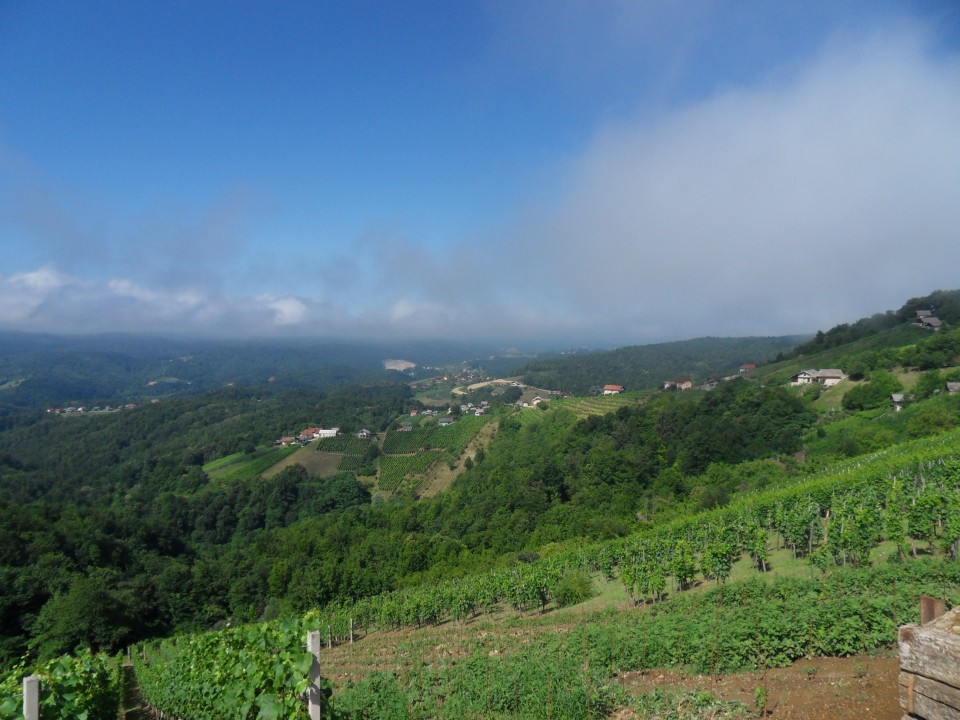 26. 6. 2017 - foto povečava