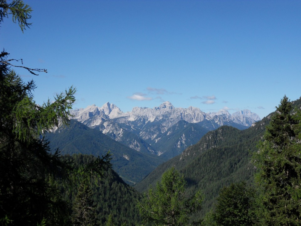 13. 8. 2017 - foto povečava