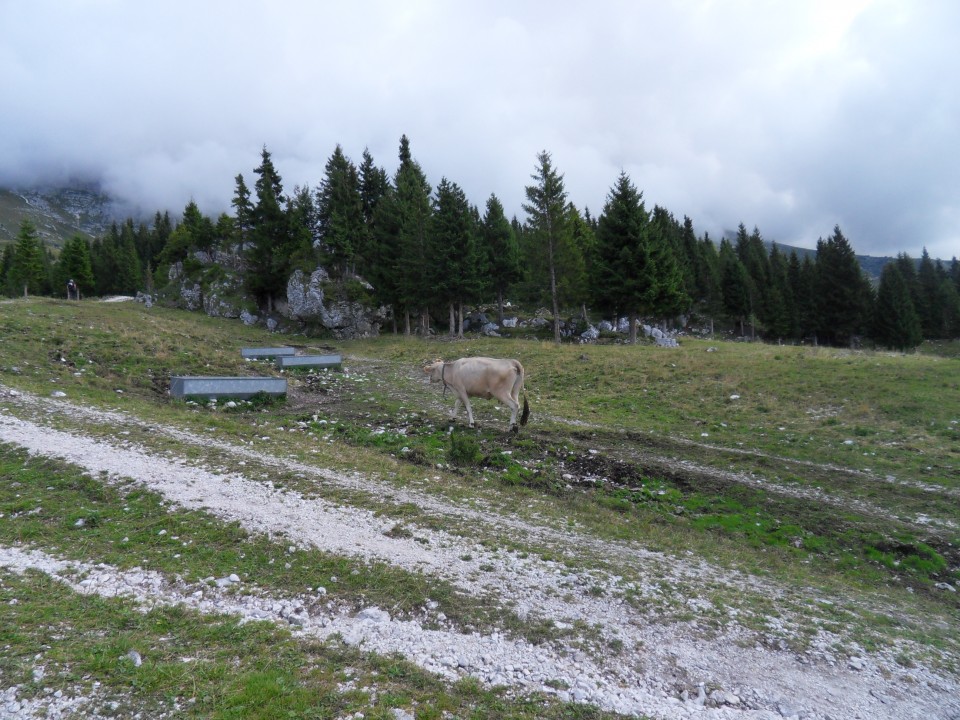 14. 8. 2017 - foto povečava