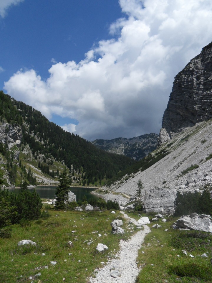 17. 8. 2017 - foto povečava