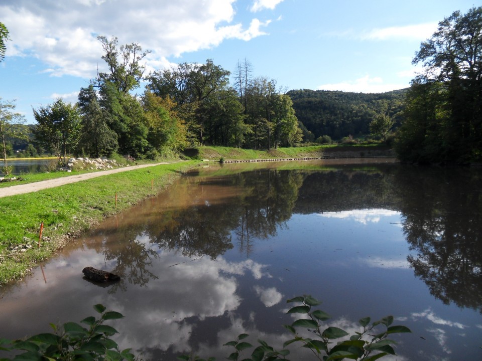 21. 9. 2017 - foto povečava