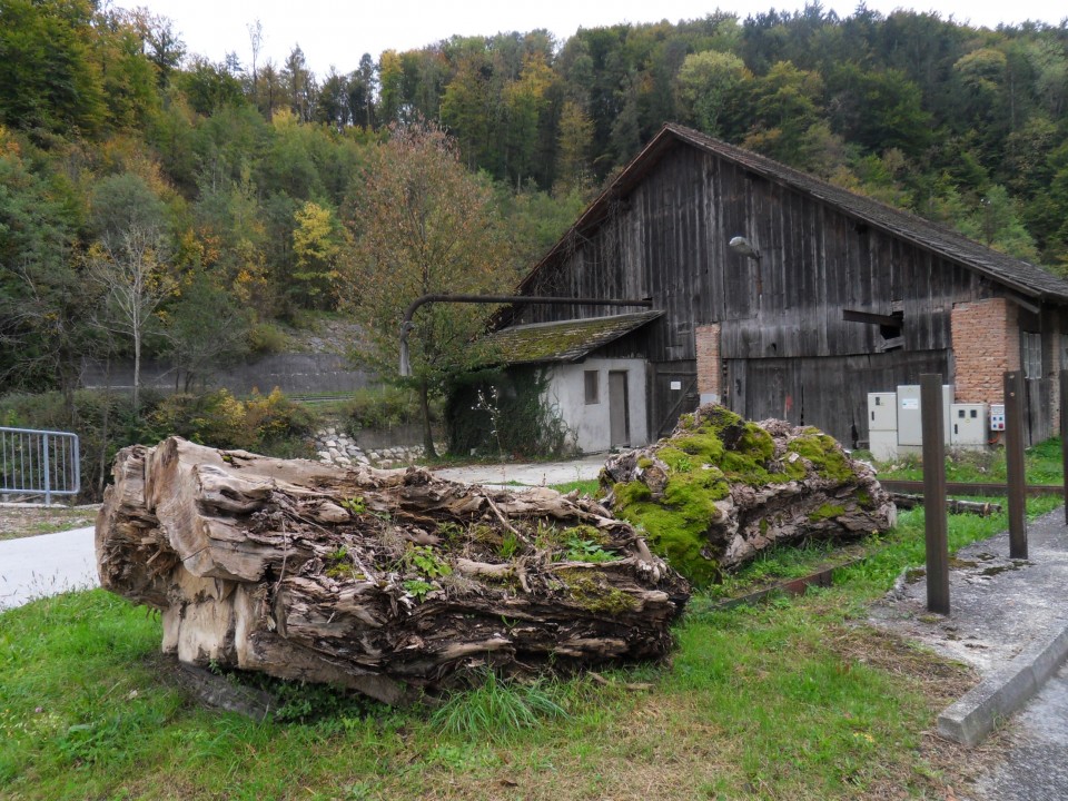 8. 10. 2017 - foto povečava