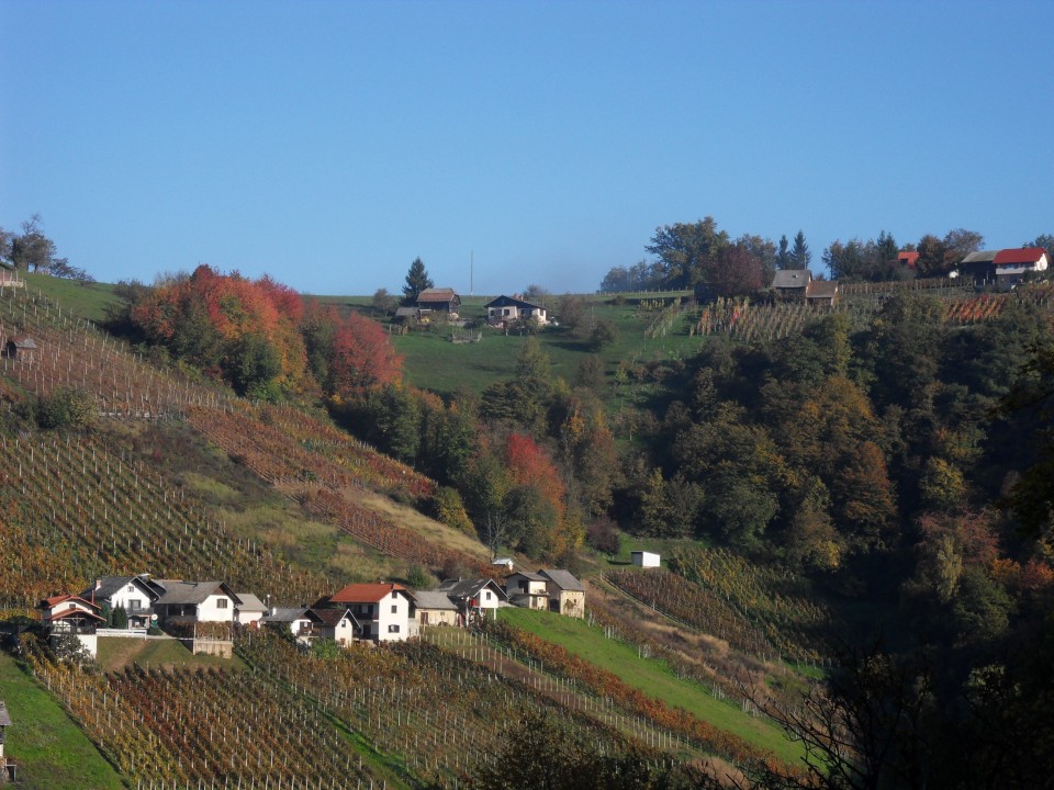 16. 10. 2017 - foto povečava