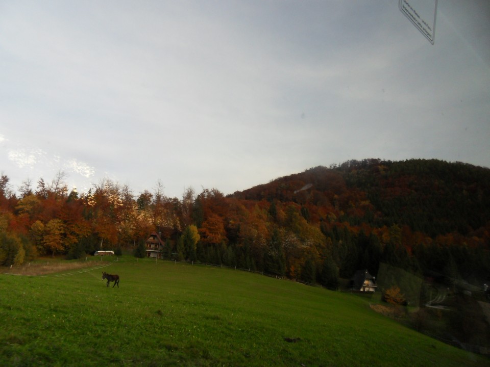 17. 10. 2017 - foto povečava