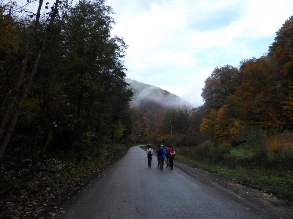 18. 10. 2017 - foto povečava