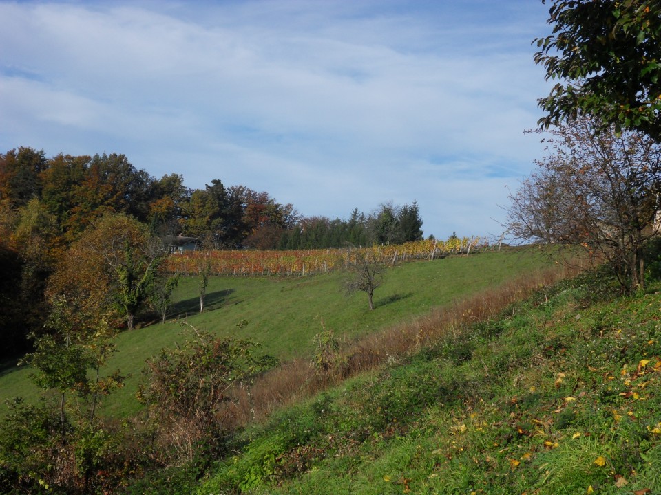 18. 10. 2017 - foto povečava