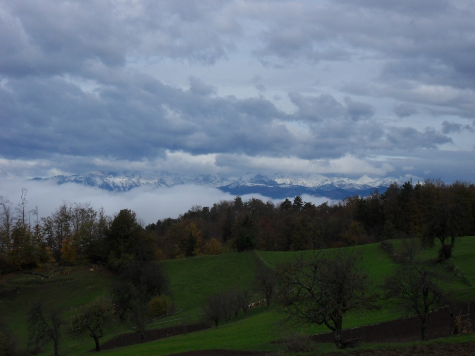 23. 10. 2017 - foto povečava