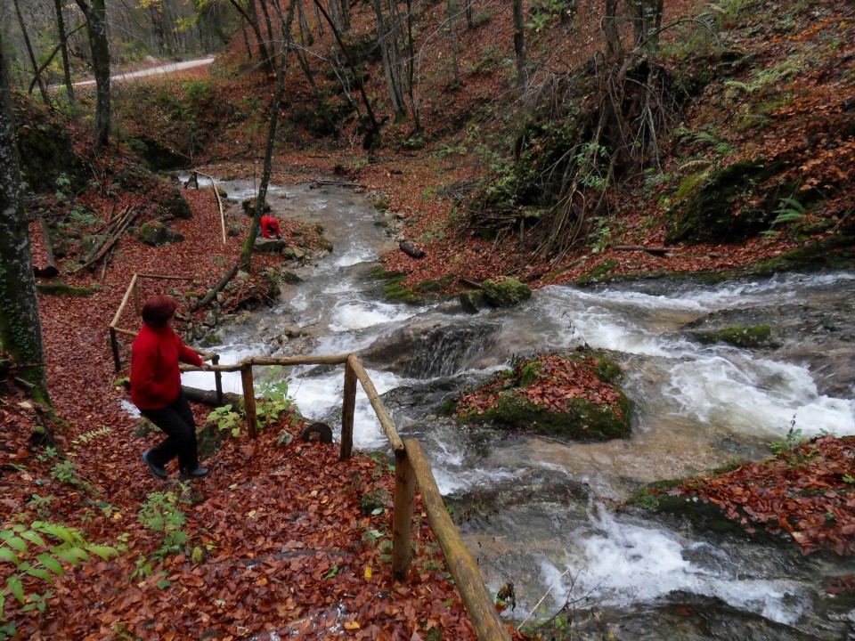 23. 10. 2017 - foto povečava