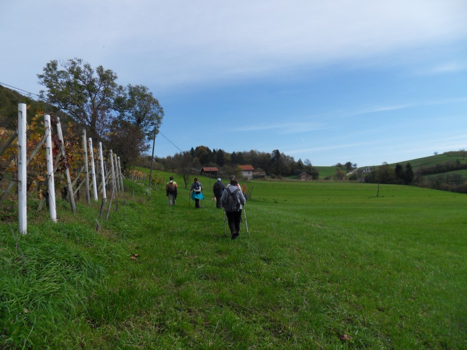 25. 10. 2017 - foto povečava