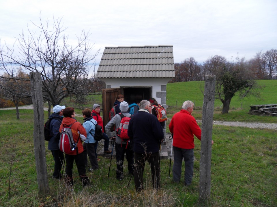 15. 11. 2017 - foto povečava