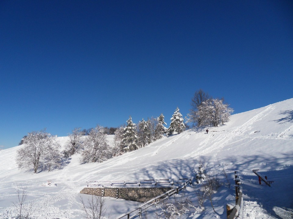 27. 11. 2017 - foto povečava